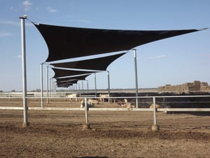 Advantages of Livestock Shade Shelters & Fabric Structures